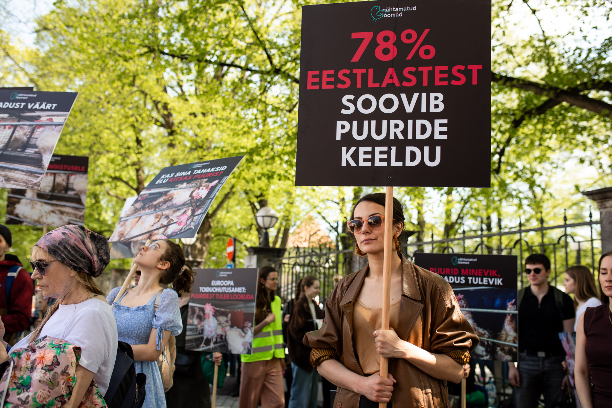 Featured image for “Sotsiaaldemokraadid küsivad peaministrilt: miks valitsus ei liigu edasi kanade puurispidamise lõpetamise eelnõuga?”